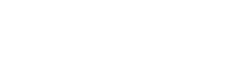 Bear Village Logo